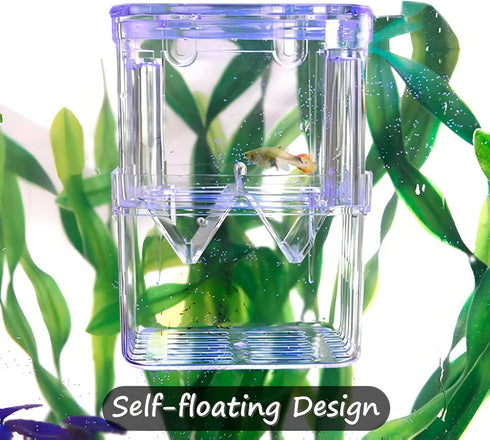 Petzilla In-Tank Aquarium Breeder Box, Breeding Incubator for Small Fish, Acrylic Divider for Shrimp & Clownfish