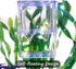 Petzilla In-Tank Aquarium Breeder Box, Breeding Incubator for Small Fish, Acrylic Divider for Shrimp & Clownfish
