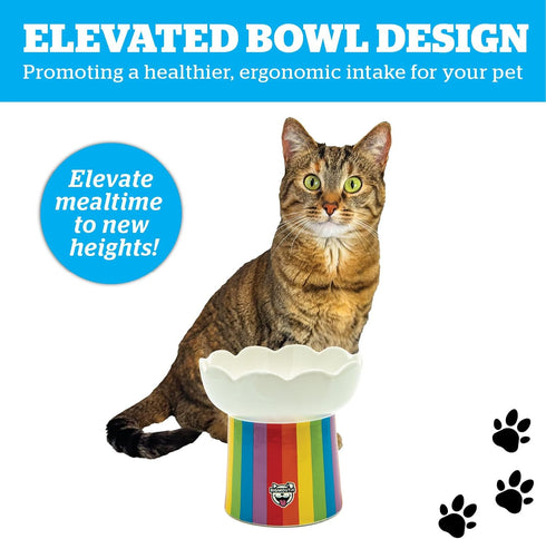 BigMouth Inc Rainbow Elevated Cat Bowl - Raised Ceramic Feeder for Small Dogs and Cats