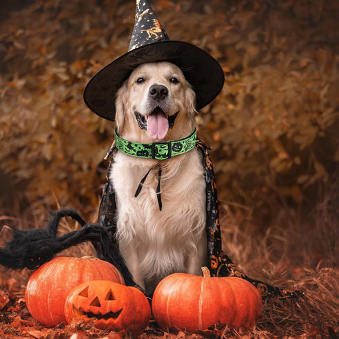Halloween Dog Collar, Soft Comfy Halloween Themed Dog Collar with Spooky Ghost Skull Bat Cat Witch Tree Hat Pumpkin Pattern Halloween Dog Collar for Small Medium Large Dogs (1 PCS)