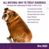 Pet MD Stool-Fix - 100g Powdered Clay Anti Diarrhea Treatment for Dogs & Cats, Promotes Normal Stool Relief