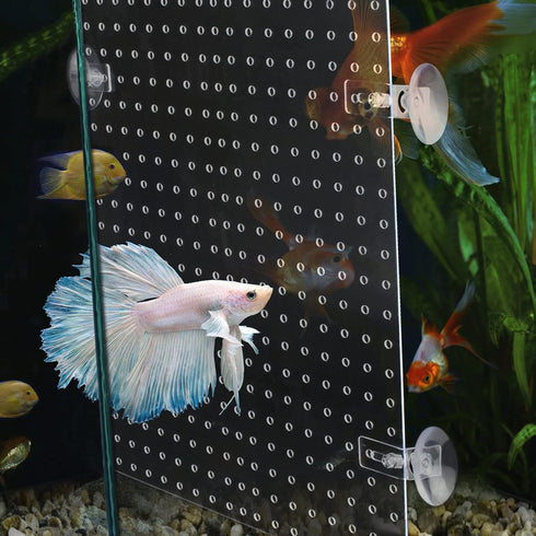 Clear Acrylic Aquarium Fish Tank Divider Kit for 10 Gallon and Up to 950 Gallon Tanks (Kit B - 2 PCs 5.9"x11.8")