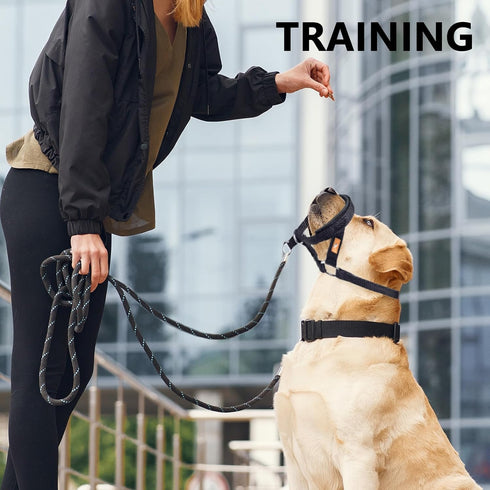 Adjustable Fabric Padded Dog Head Collar to Prevent Pulling, Dog Head Harness (M, Blue)