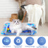 2 Pack Water Sensory Play Mat for Cat, Upgraded Thickened Dog Water Play Mat with PVC Scratch, Anti-Scratch Design Pet