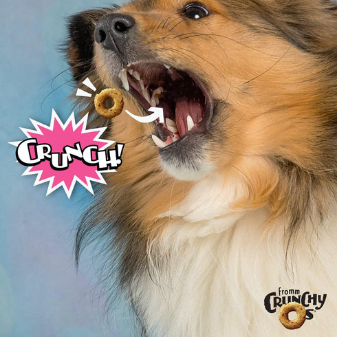Fromm Crunchy Os Slammon' Smoked Salmon Dog Treats - Premium Crunchy Dog Treats - Salmon Recipe - 6 oz