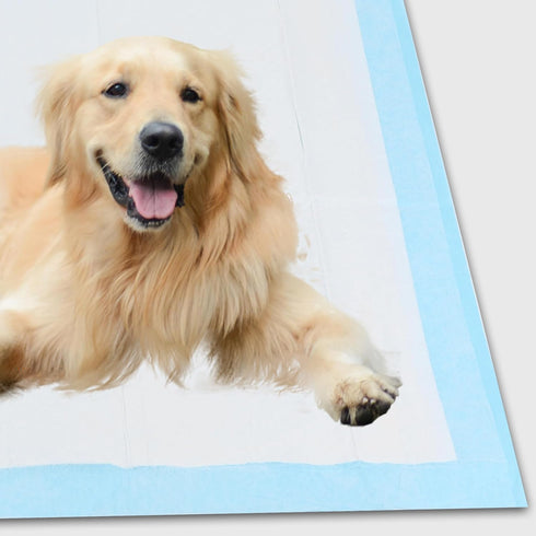 Dog Training Pads 22x22, 50 Count Waterproof Pee Pads for Dogs and Puppies, Leak-Proof for Playpen