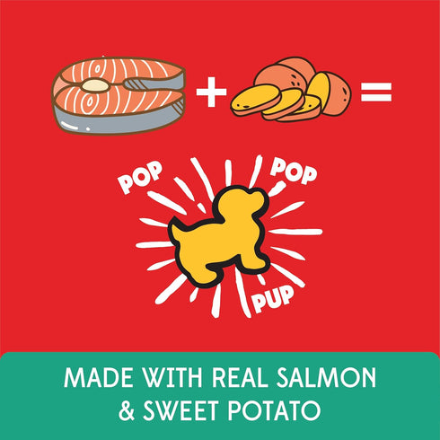 Plus Puffed Dog Treats with Prebiotics and Probiotics, Salmon & Sweet Potato, 24oz, Made in USA