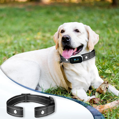 Reflective Collar Replacement Strap for Dog GPS Training Bark Receiver Collars, Heavy Duty for Small Medium Large Dogs