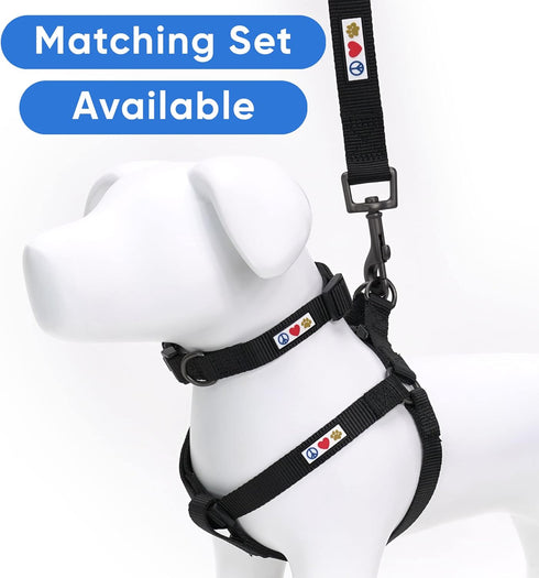 Solid Dog Leash - 6 Ft Durable and Reliable