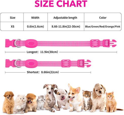 Light Up Collar for Small Dogs & Cats - Reflective LED Dog Collar for Nighttime Walking (Pink)