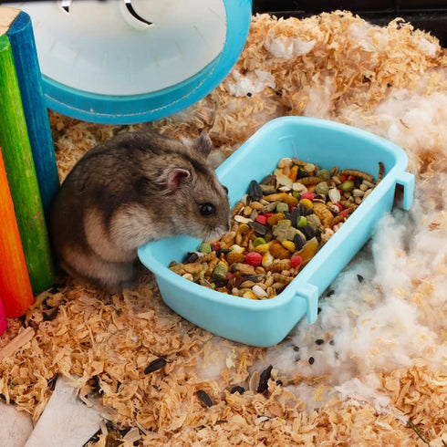 4 Pcs Small Animal Feeder Bowl, Basic Dish for Hamster, Mice, Rat, Hedgehog, Small Pets