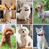 PUPTECK Puppy Collar with Bell, XXS Adjustable Bowtie Soft Leather Dog Collar for Cats & Extra Small Dogs (2 Packs)