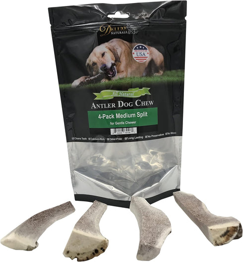 Elk Antler Chews for Dogs | Naturally Shed USA Collected A-Grade Premium Elk Antler Dog Chews | 4-Pack Medium Split