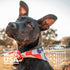 iHeartDogs Brushy Sticks - Dental Treats for Dogs, Grain-Free Chews for Plaque and Tartar Removal