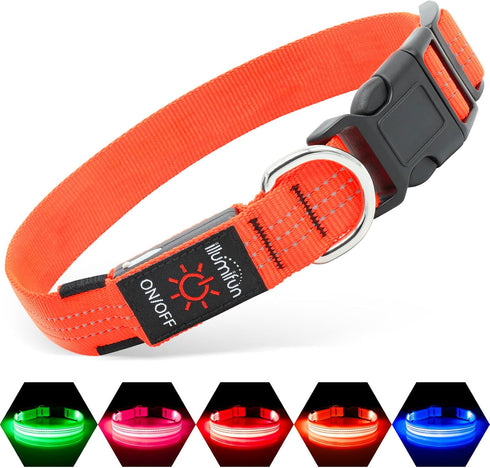 Illumifun USB Rechargeable LED Dog Collar Light Up Adjustable Blinking for Large Dogs (Orange?, Large)