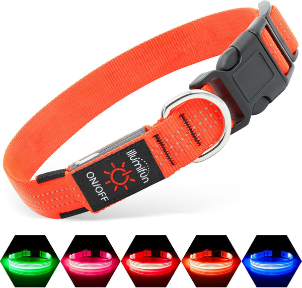 Illumifun USB Rechargeable LED Dog Collar Light Up Adjustable Blinking for Large Dogs (Orange?, Large)