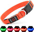 Illumifun USB Rechargeable LED Dog Collar Light Up Adjustable Blinking for Large Dogs (Orange?, Large)
