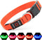 Illumifun LED Dog Collar - USB Rechargeable Light Up Reflective Pet Safety Collar (Orange?, Medium)