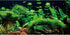 AWERT 24x16 inches River Bed & Lake Fish Tank Background, Seagrass Aquarium Background Vinyl