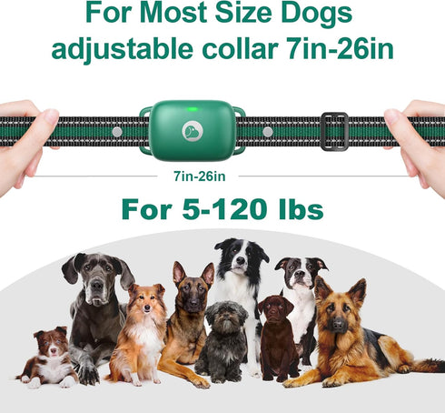 Dog Shock Collar with Touch Screen, E-Collar with Security Lock, 3 Training Modes, Waterproof for All Breeds