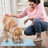 Absorbent Dog Food Mat, Quick Dry Dog Water Dispenser Mat, Easy Clean Pet Accessories Supplies