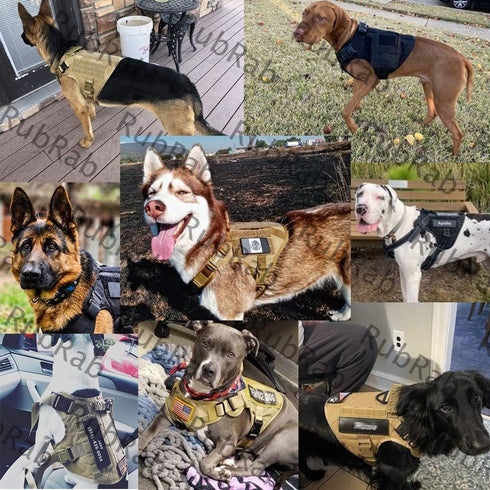 Tactical Dog Harness Vest with Handle, Military Working Training Molle Vest, Black Harness with Leash and Metal Buckles
