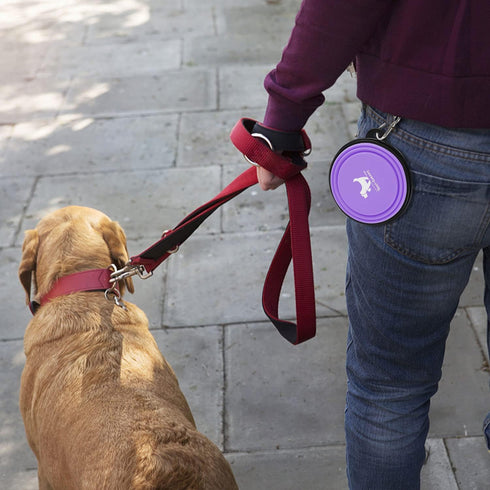 Collapsible Dog Bowls for Travel, 2-Pack Portable Water Bowl for Dogs, Foldable Feeding Dish with Carabiners