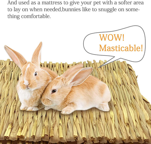 20 Chinchilla Tfwadmx Pcs Bunny Grass Mat Rabbit Natural Straw Woven Bed Small Animal Cages Sleeping Hay Mats Nest Play