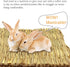 20 Chinchilla Tfwadmx Pcs Bunny Grass Mat Rabbit Natural Straw Woven Bed Small Animal Cages Sleeping Hay Mats Nest Play