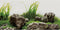 AWERT 48x24 inches Seaweed Aquarium Background, Aquatic Plant Design for Fish Tank