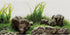 AWERT 48x24 inches Seaweed Aquarium Background, Aquatic Plant Design for Fish Tank