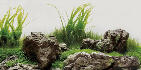 AWERT 72x24 inches Vinyl Seaweed Aquarium Background with Aquatic Plant River Bed for Fish Tank
