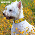 Martingale Collar for Dogs, Adjustable Soft Nylon Collars with Cute Patterns for Small Medium Large Dogs, Yellow Bee,
