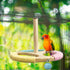 Wooden Spinning Parrot Perch Toy - Fun Exercise Accessory for Birds