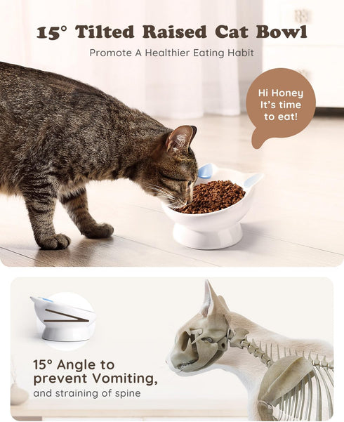 Raised Cat Food Bowl Ceramic, 15° Tilted Design, Anti Vomiting Backflow Prevention for Cats and Small Dogs, Blue