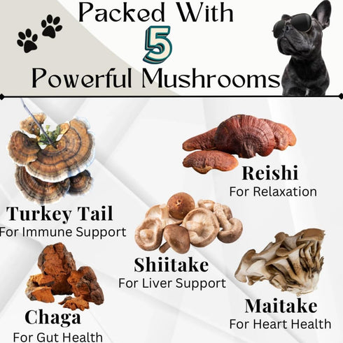 Immune Immunity, 90 Turkey Tail Mushroom for Dogs - Organic Support Chews - Buddy Health Guard Mushroom Blend - Boosts