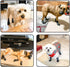 BINGPET Anti-Slip Dog Socks, Waterproof Paw Protectors with Reflective Straps, 4pcs Dog Boots for All Season