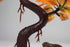 Penn-PLAX Deco-Replicas Bonsai Tree Aquarium Decoration – Orange – 8” Height, Safe for Freshwater and Saltwater Fish