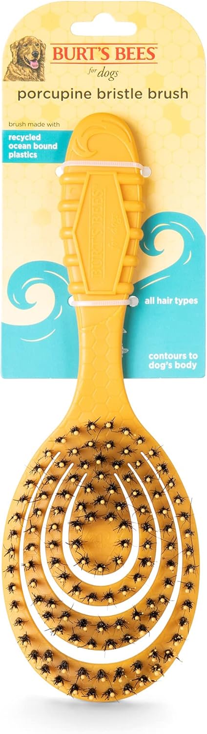 Burt’s Bees for Pets Porcupine Bristle Brush for Large Dogs, Eco-Friendly Grooming Brush with Handle
