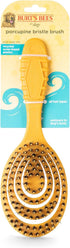 Burt’s Bees for Pets Porcupine Bristle Brush for Large Dogs, Eco-Friendly Grooming Brush with Handle