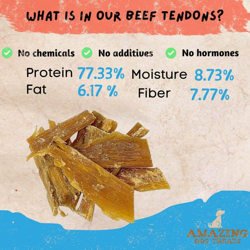 6 Inch Beef Tendon for Dogs, 5 Pcs/Pack, 100% Meat Dog Treat, Long Lasting Chew, Packaged in The USA