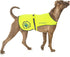 Reflective Dog Coat for Safety – High-Visibility Dog Vest for Walking, Jogging or Training – Sizes Small to Large