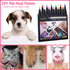 Dog Nail Polish - Quick Dry 12 Colors - Non Toxic, Odorless Pet Nail Polish Set for DIY Dogs Puppy Nails