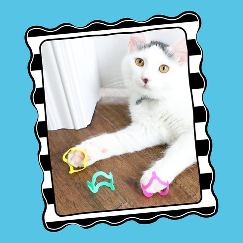 Pack 4 Count (Pack 1) Petmate Interactive Cat Toys - Cat Crazies Multi by Petmate