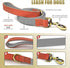 QRDA Dog Collar and Leash Set in Silver Gray, Adjustable Durable Nylon Collars with Tactical Breakaway Leash for All