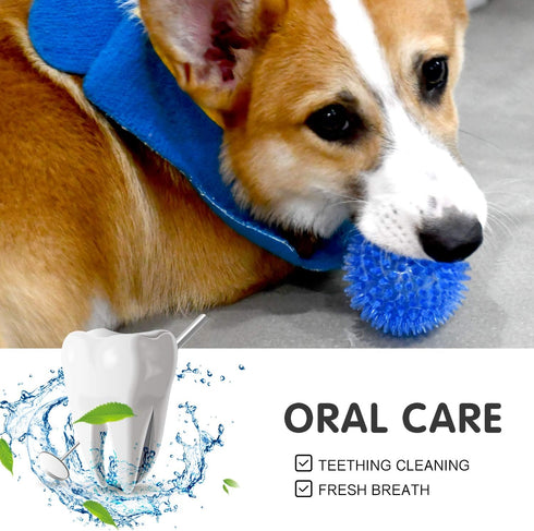 Squeaky Fetch Spike Balls TPR Toys for Small Dogs, Puppy Rubber 6 Pack, Bright Colors Chew Teething Toys