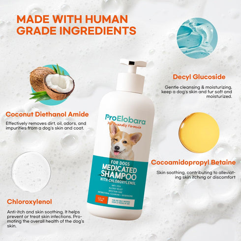 16 OZ Medicated Dog Shampoo for Allergies and Itching: Antifungal Dog Shampoo, Yeast Infection and Bacterial Treatment
