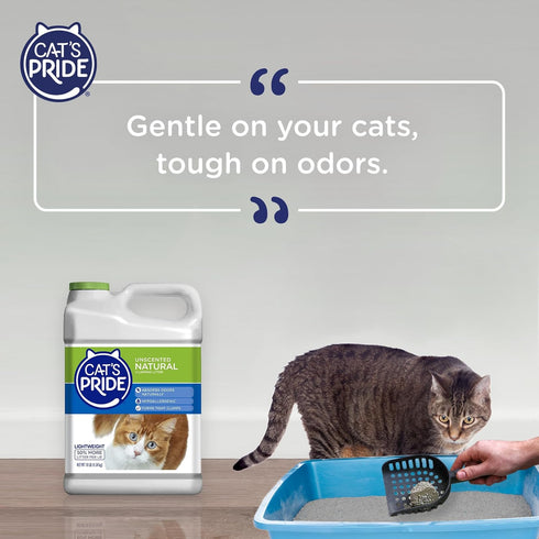 Cat's Pride Lightweight Clumping Litter, Natural, 10 Pounds, Powerful Odor Control, Unscented