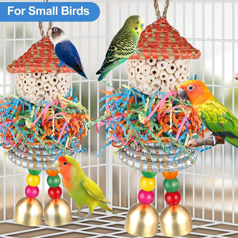 Conure Toys, Hanging Foraging Shredder Sola Balls with Bell for Small Parrots, Budgies, Cockatiels