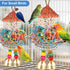 Conure Toys, Hanging Foraging Shredder Sola Balls with Bell for Small Parrots, Budgies, Cockatiels